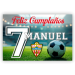 Imagen anterior del producto